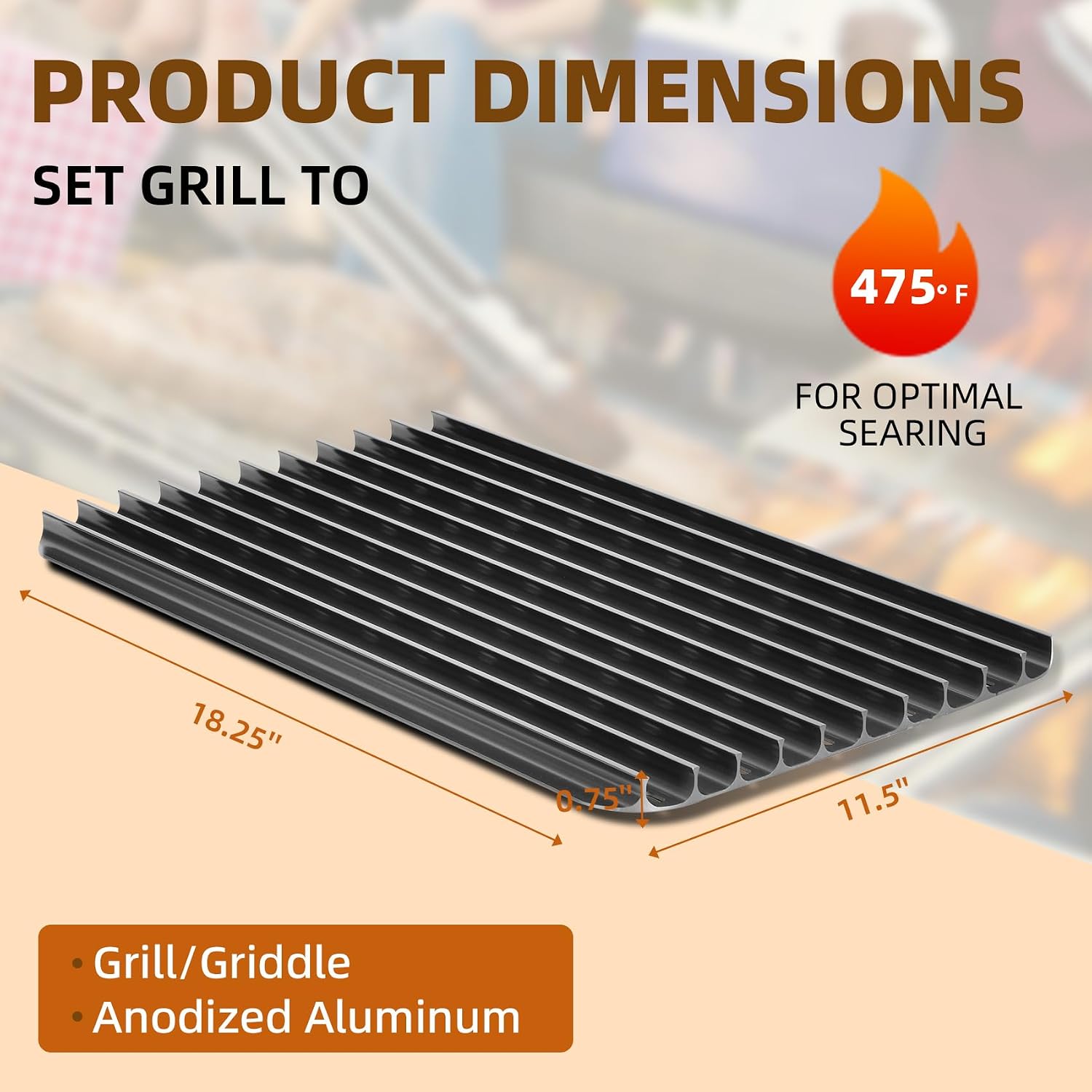Grille de cuisson réversible e - Foods X avis et prix